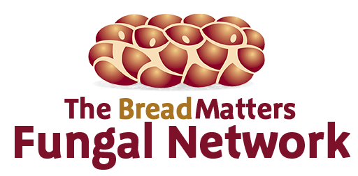 Bread Matters Fungal Network